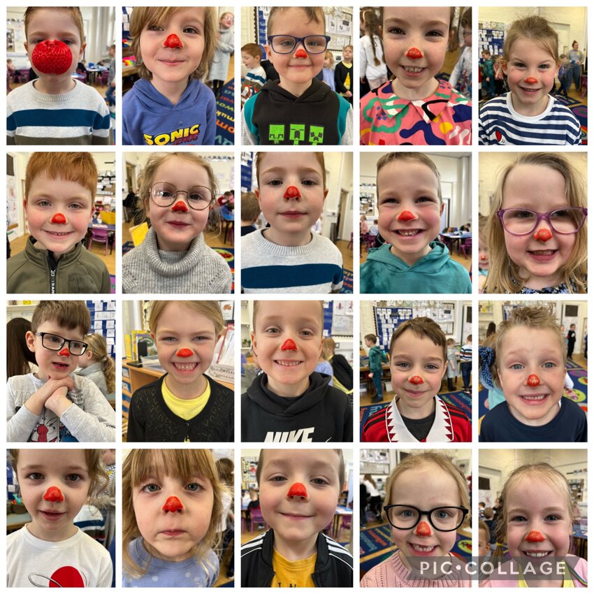 Image of Red Nose Day 